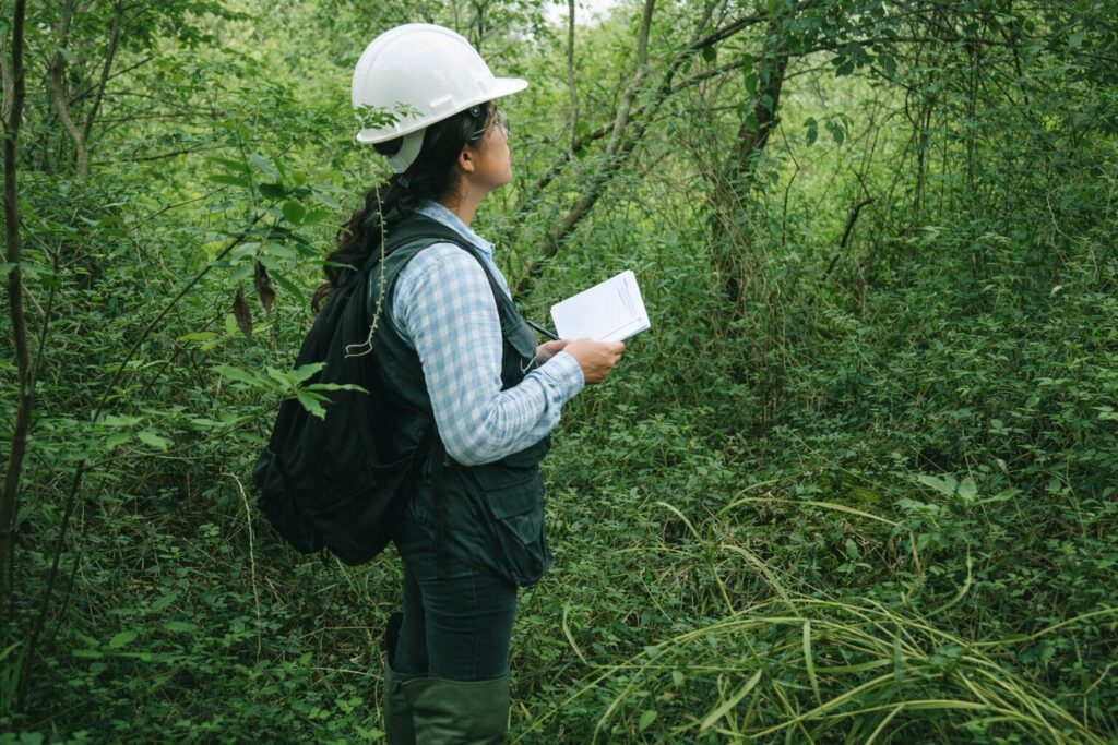 trabajo de campo ambiental